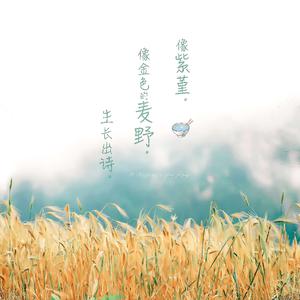 国产永久av免费网站
